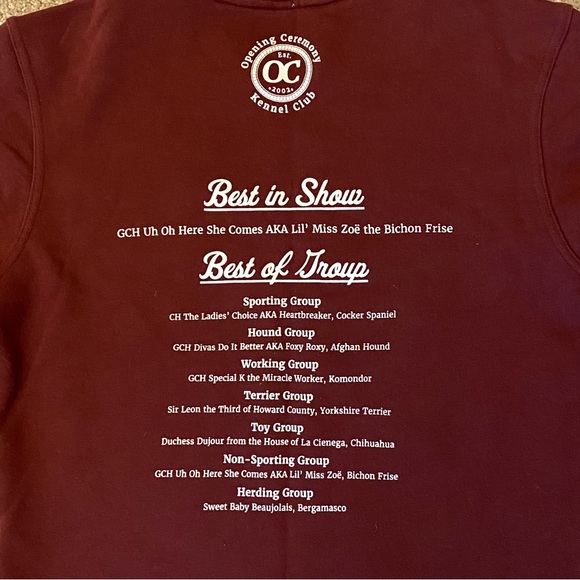 Opening Ceremony Crewneck - Picture 3 of 5